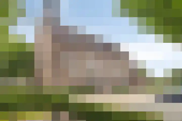 Daniël de Brouwerstraat 37 Boekel thumbnail 7
