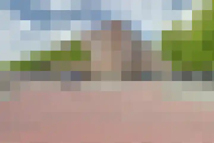 Daniël Defoelaan 110 Amsterdam thumbnail 41