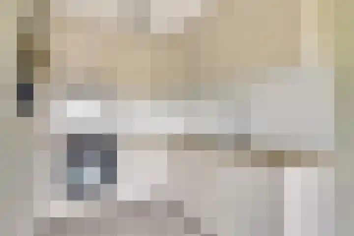 Daniël Defoelaan 110 Amsterdam thumbnail 6