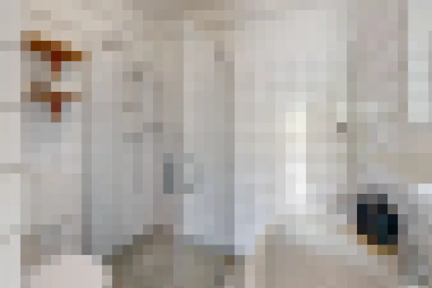 Daniël Defoelaan 114 Amsterdam thumbnail 17