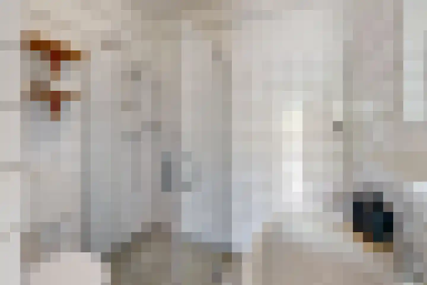 Daniël Defoelaan 114 Amsterdam thumbnail 17