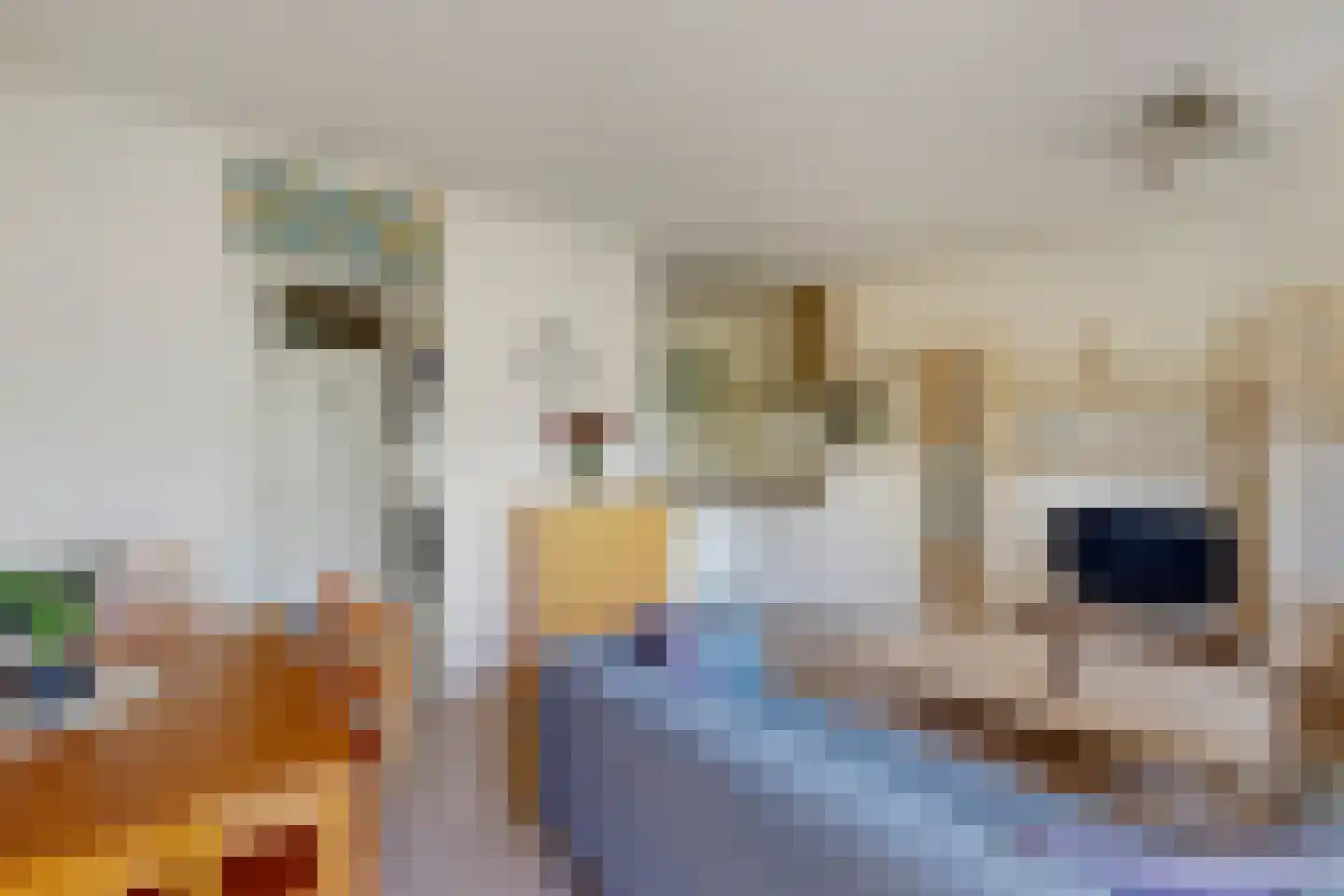 Daniël Defoelaan 114 Amsterdam thumbnail 7