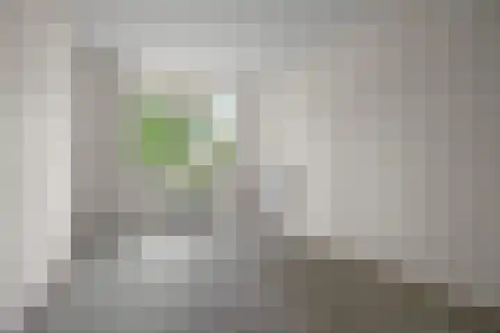 Daniël Defoelaan 120 Amsterdam thumbnail 12