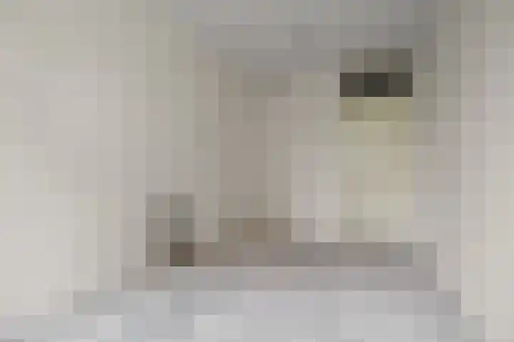 Daniël Defoelaan 120 Amsterdam thumbnail 7