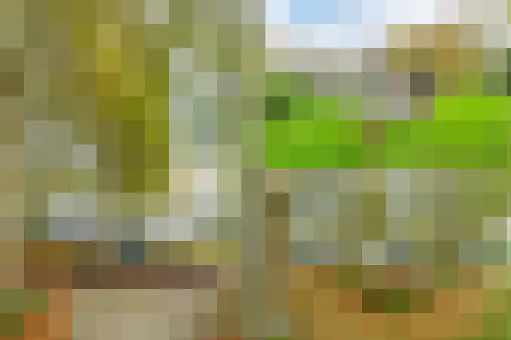 Daniël Defoelaan 143 Amsterdam thumbnail 36
