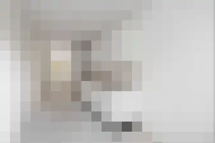 Daniël Defoelaan 209 Amsterdam thumbnail 11