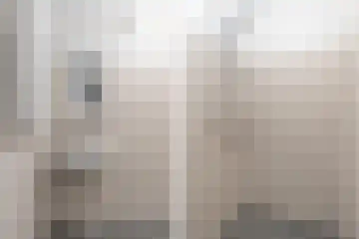 Daniël Defoelaan 209 Amsterdam thumbnail 12
