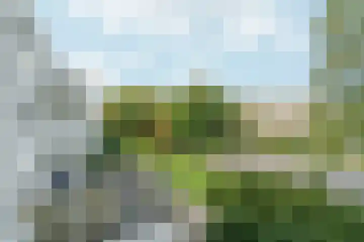 Daniël Defoelaan 209 Amsterdam thumbnail 17