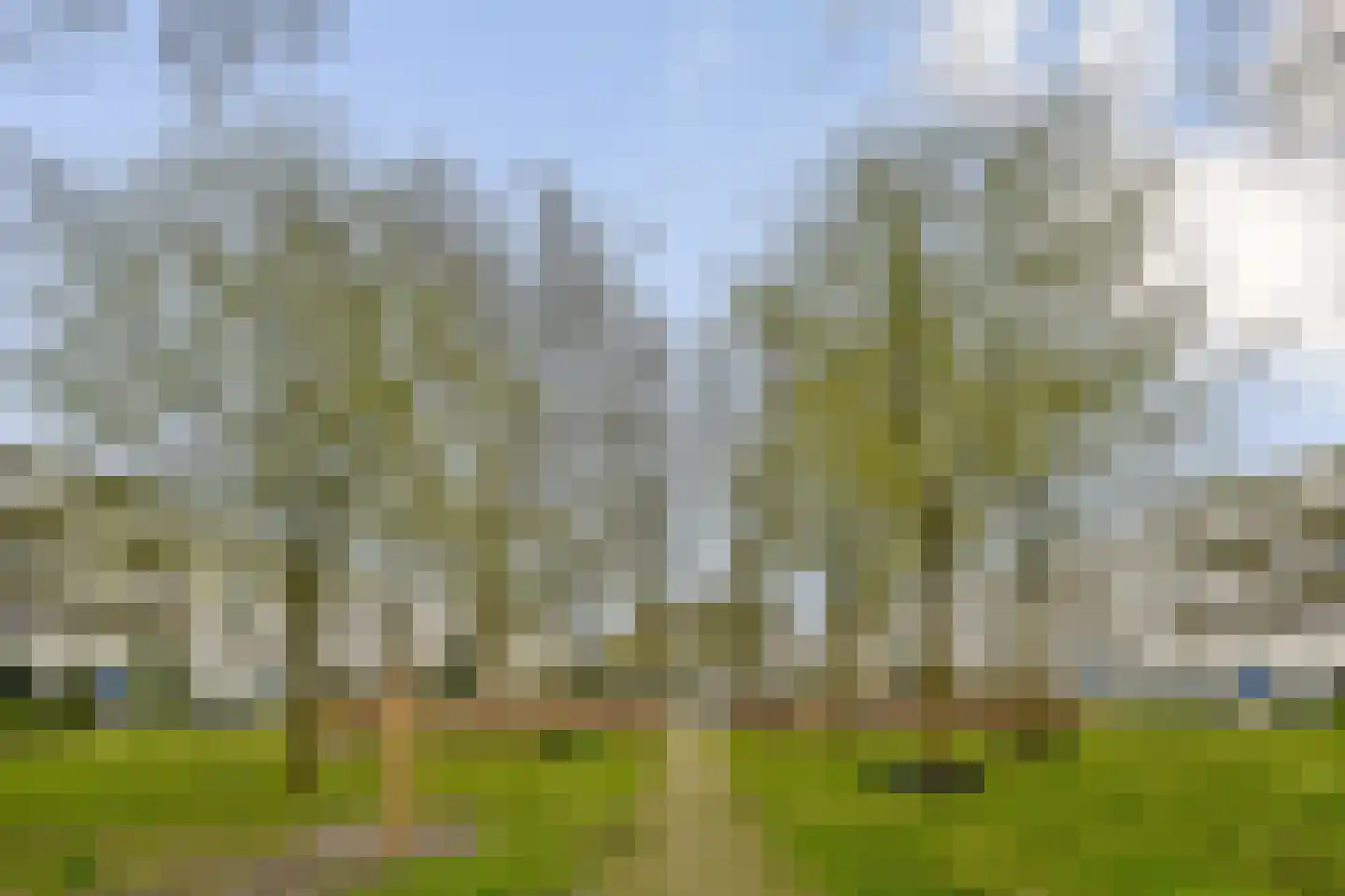 Daniël Defoelaan 283 Amsterdam thumbnail 17