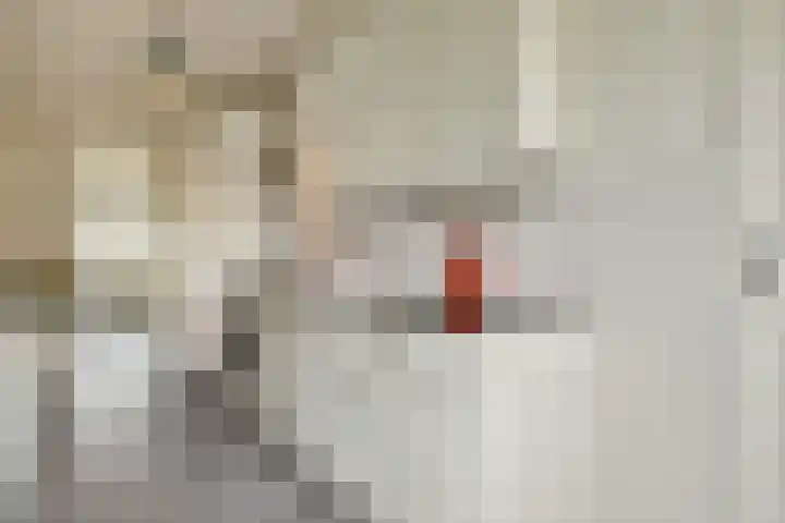 Daniël Defoelaan 287 Amsterdam thumbnail 5