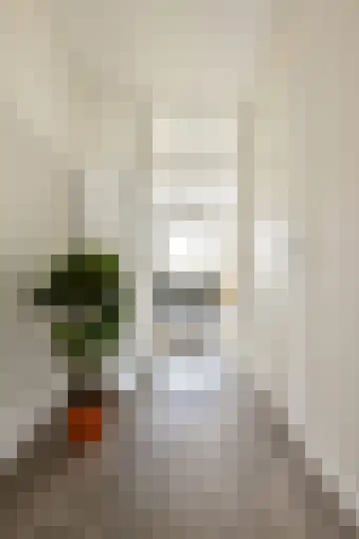 Daniël Defoelaan 287 Amsterdam thumbnail 6
