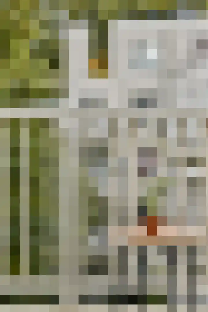 Daniël Defoelaan 287 Amsterdam thumbnail 9