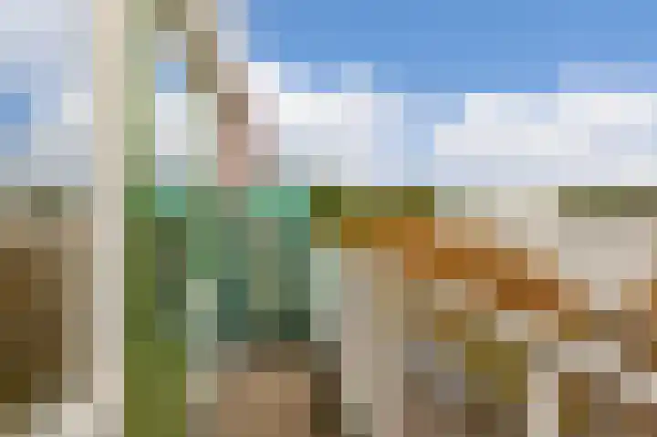 Daniël Defoelaan 62 Amsterdam thumbnail 18