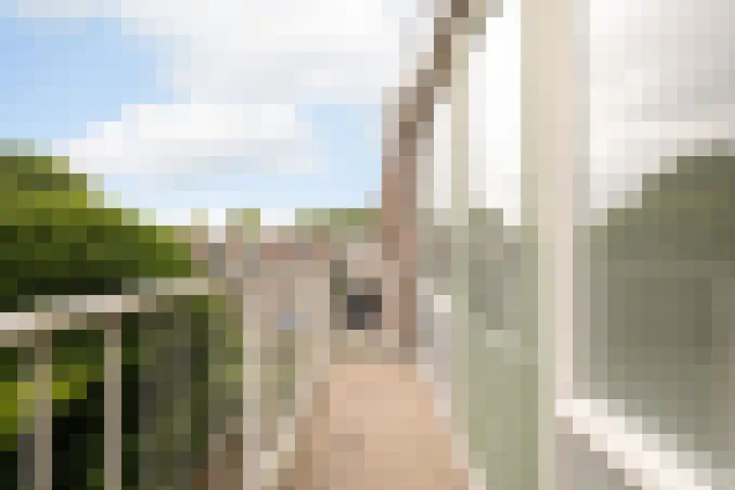 Daniël Defoelaan 64 Amsterdam thumbnail 17