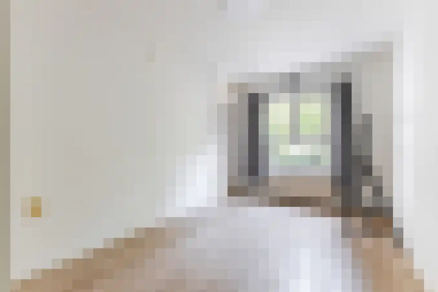 Daniël Defoelaan 75 Amsterdam thumbnail 20