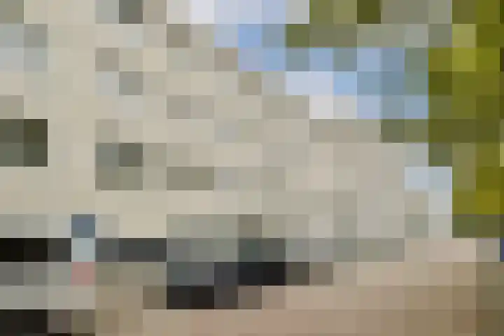 Daniël Defoelaan 77 Amsterdam thumbnail 16