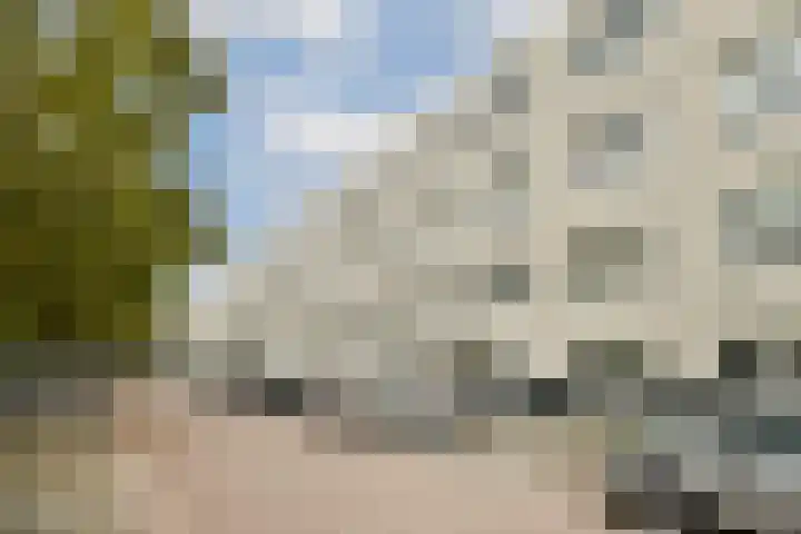 Daniël Defoelaan 77 Amsterdam thumbnail 17