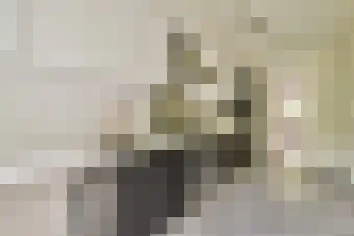 Daniël Defoelaan 77 Amsterdam thumbnail 6