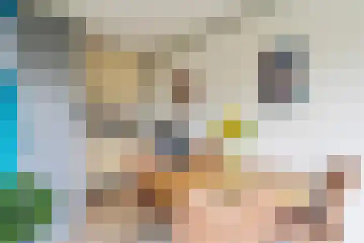 Daniël Defoelaan 86 Amsterdam thumbnail 9