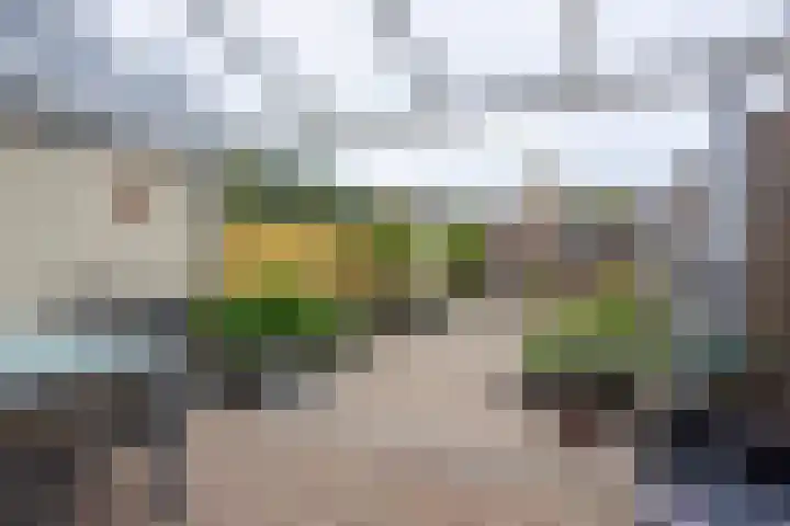 Daniël-Eik 5 Kerkrade thumbnail 15
