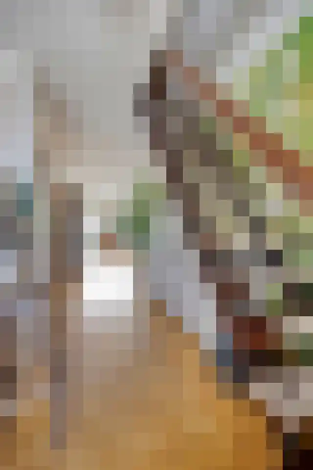 Daniël-Eik 7 Kerkrade thumbnail 11