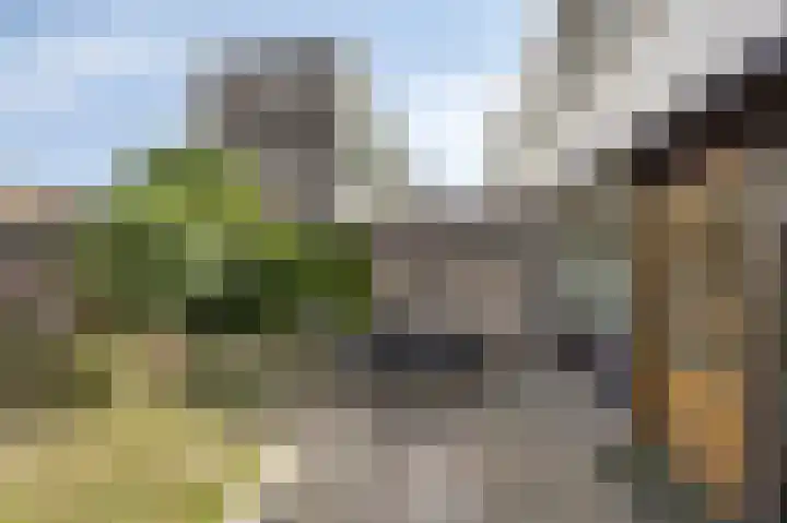Daniël-Eik 7 Kerkrade thumbnail 17