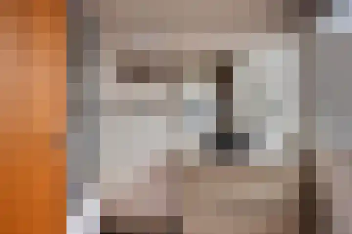 Daniël-Eik 7 Kerkrade thumbnail 29