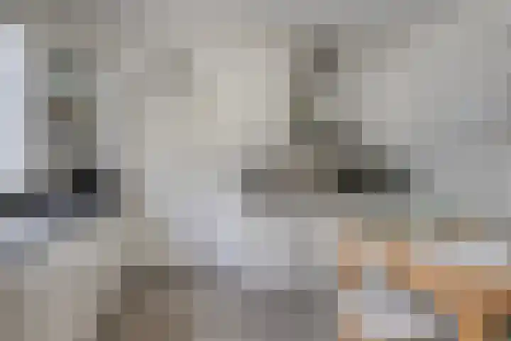 Daniel Eyndhoutsgaarde 13 Nuenen thumbnail 13