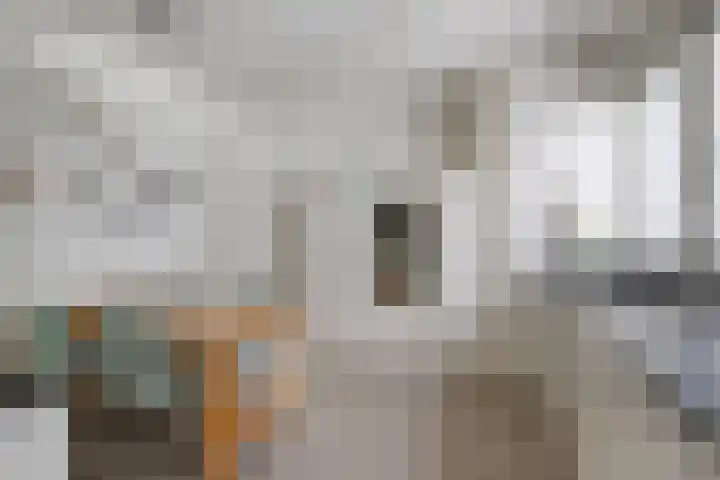 Daniel Eyndhoutsgaarde 13 Nuenen thumbnail 14