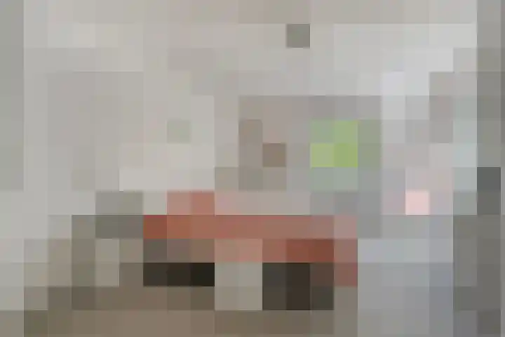 Daniel Eyndhoutsgaarde 13 Nuenen thumbnail 22