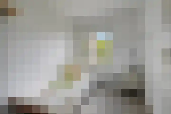 Daniel Eyndhoutsgaarde 13 Nuenen thumbnail 24