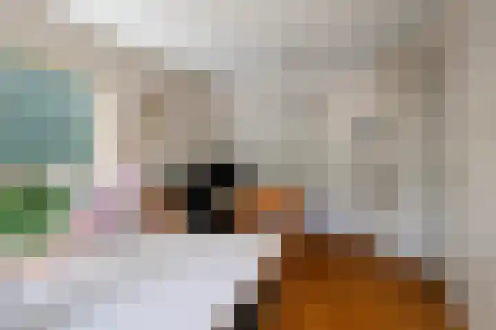 Daniel Eyndhoutsgaarde 13 Nuenen thumbnail 26
