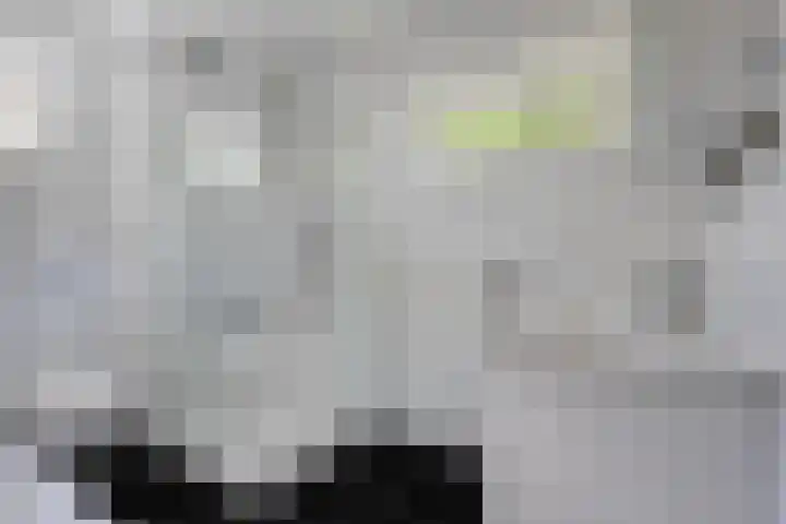 Daniel Eyndhoutsgaarde 13 Nuenen thumbnail 27