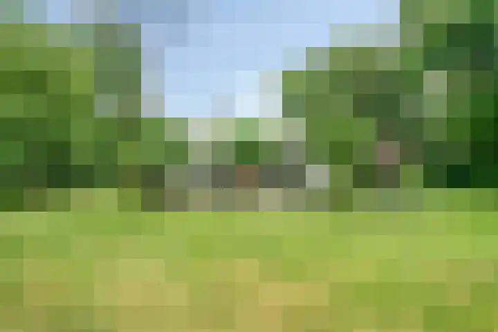 Daniel Eyndhoutsgaarde 13 Nuenen thumbnail 29