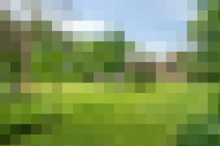 Daniel Eyndhoutsgaarde 13 Nuenen thumbnail 30