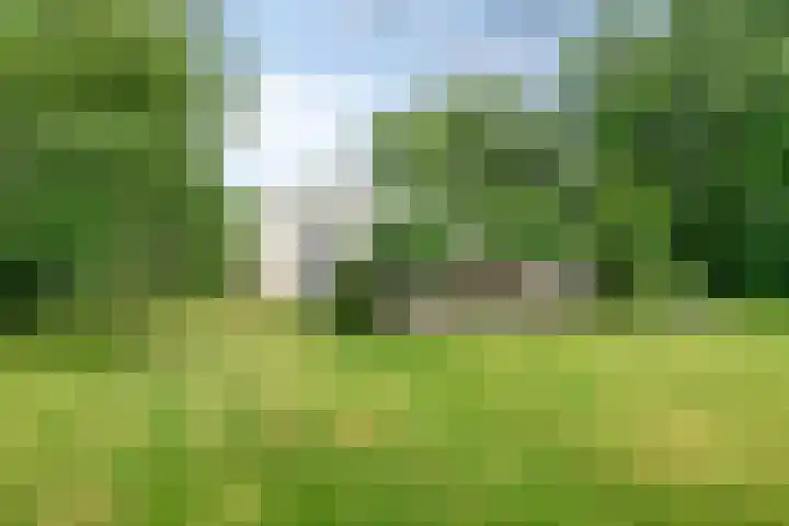 Daniel Eyndhoutsgaarde 13 Nuenen thumbnail 31