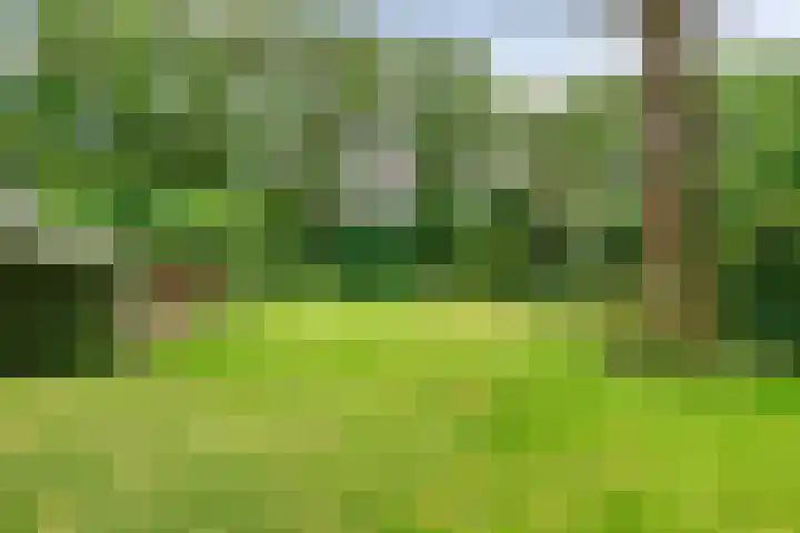 Daniel Eyndhoutsgaarde 13 Nuenen thumbnail 32