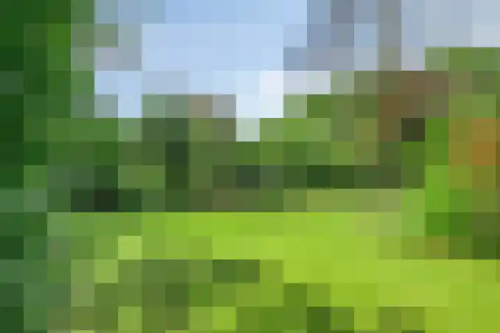 Daniel Eyndhoutsgaarde 13 Nuenen thumbnail 33