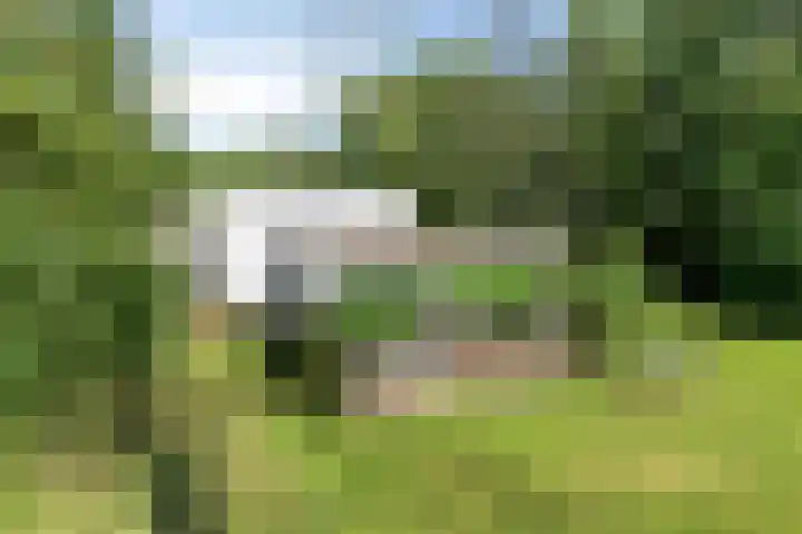 Daniel Eyndhoutsgaarde 13 Nuenen thumbnail 34
