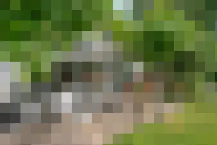 Daniel Eyndhoutsgaarde 13 Nuenen thumbnail 35