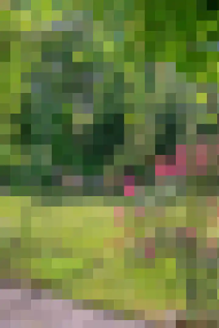 Daniel Eyndhoutsgaarde 13 Nuenen thumbnail 37