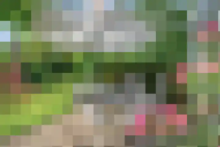 Daniel Eyndhoutsgaarde 13 Nuenen thumbnail 38