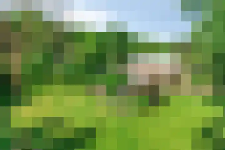 Daniel Eyndhoutsgaarde 13 Nuenen thumbnail 39