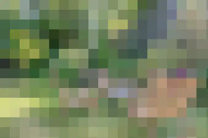 Daniel Eyndhoutsgaarde 13 Nuenen thumbnail 40