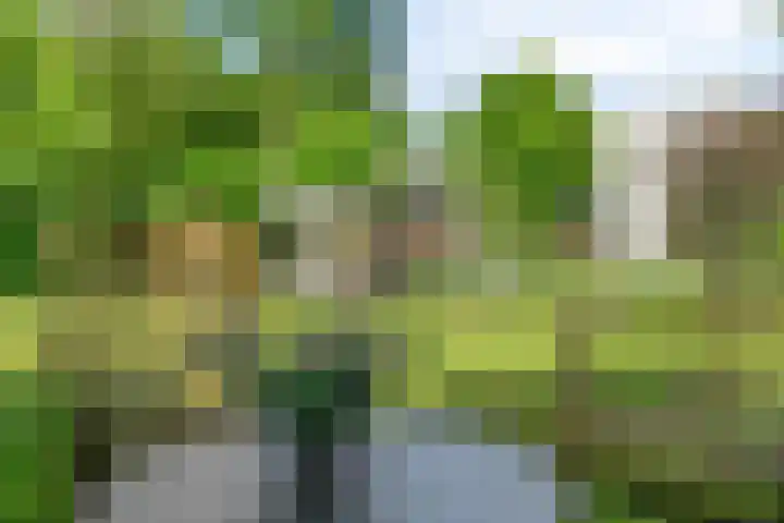Daniel Eyndhoutsgaarde 13 Nuenen thumbnail 41