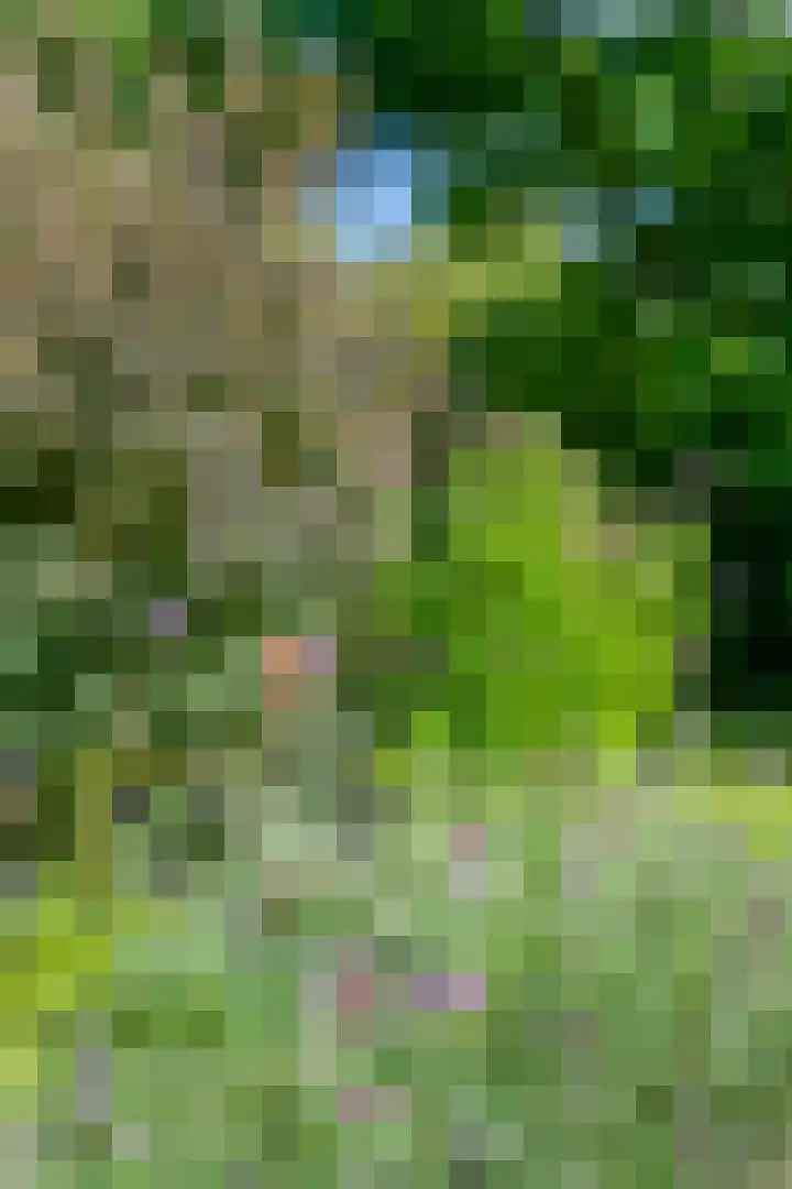 Daniel Eyndhoutsgaarde 13 Nuenen thumbnail 43
