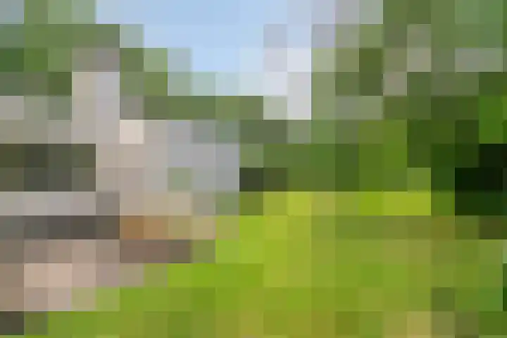 Daniel Eyndhoutsgaarde 13 Nuenen thumbnail 44