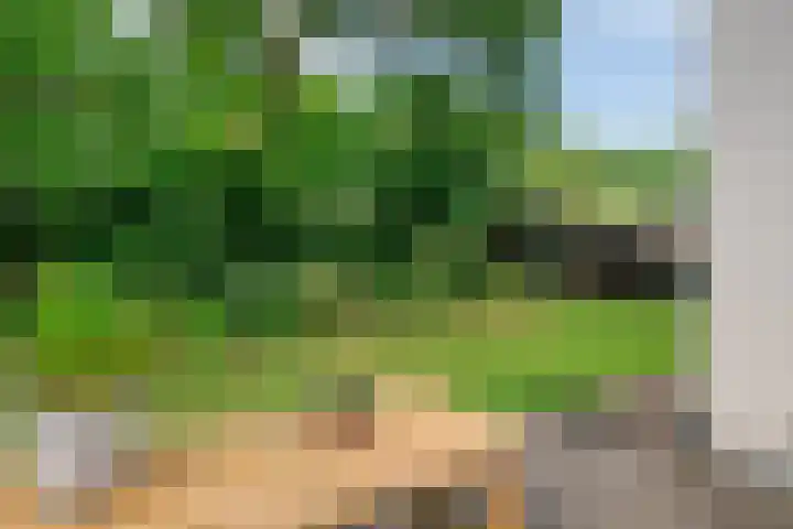 Daniel Eyndhoutsgaarde 13 Nuenen thumbnail 46