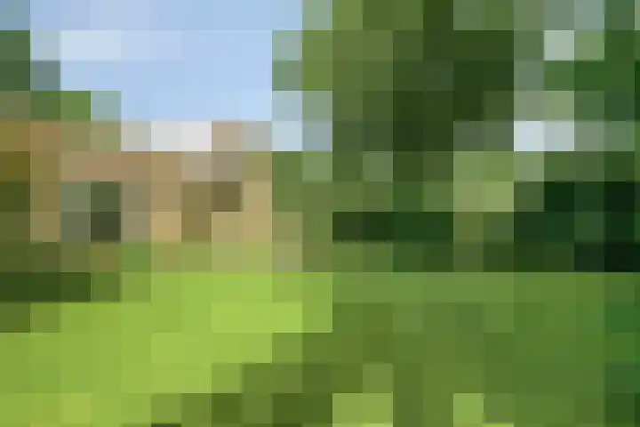 Daniel Eyndhoutsgaarde 13 Nuenen thumbnail 47