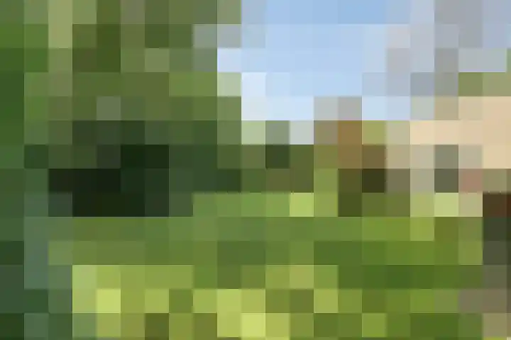 Daniel Eyndhoutsgaarde 13 Nuenen thumbnail 48